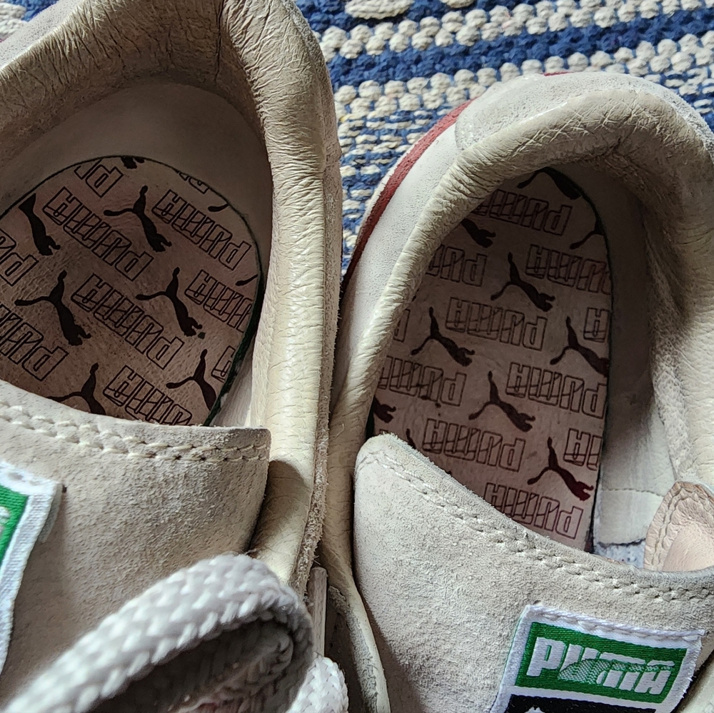 Puma states - Picture 2 of 5